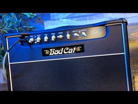 Bad Cat Cub V EL34 40-Watt Guitar Amp Head image 6