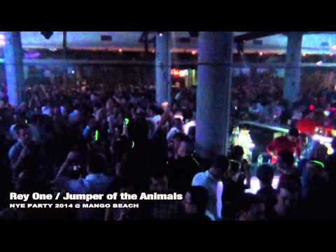 Rey One @ Mango Beach, NYE 2014