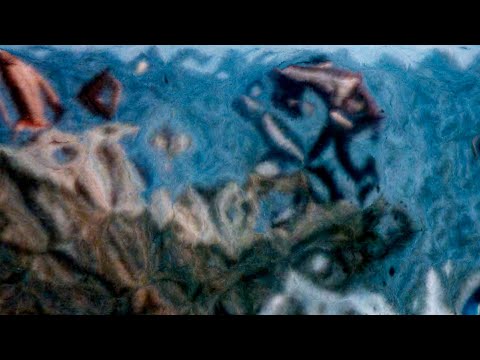 Xcèntric Focus #8: Patrick Bokanowski. «La plage» per Mariona Borrull