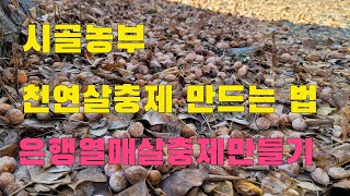 텃밭농사 시골농부가 천연살충제 이렇게 만들었슈