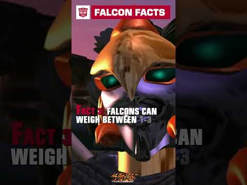 4 Fun Facts about Falcons with Airazor #transformers #beastwars #youtubeshorts