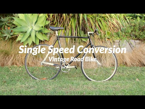 Single Speed Conversion - Vintage Road Bike