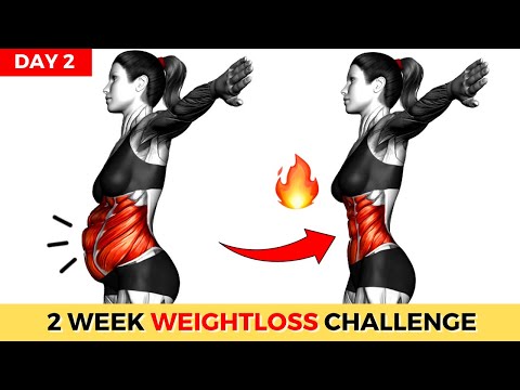 Do This 30 Min Everyday To Lose Weight Belly Fat 2 Weeks Shred Challenge DAY 1