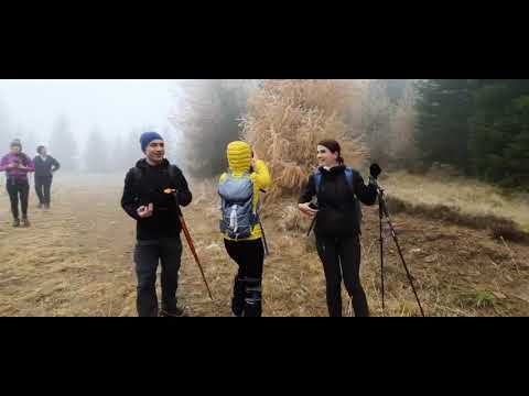 Cab. PIATRA ARSA  1954 m - Cota 1400  - SINAIA 850 m.