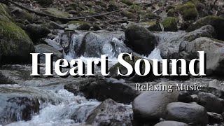 Relaxing Music for Studying - Musica Relaxante para Estudar.