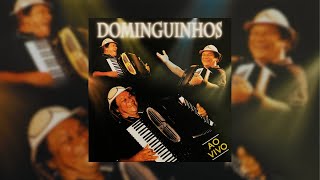 Dominguinhos - "Retrato da Vida" (Ao Vivo/2006)