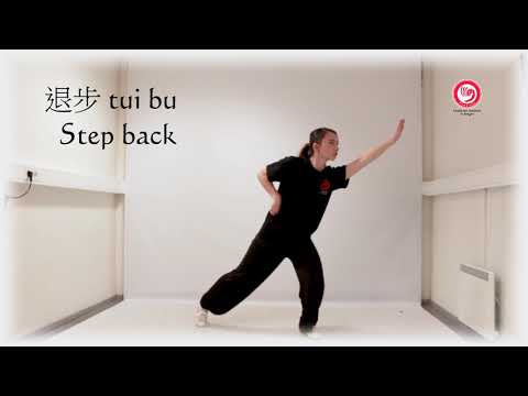 Wu Qin Xi - 5 animals Qigong