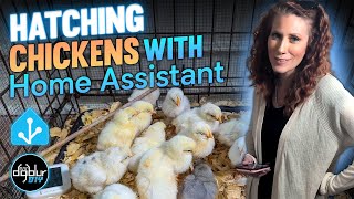 Hatching Chickens with Home Assistant