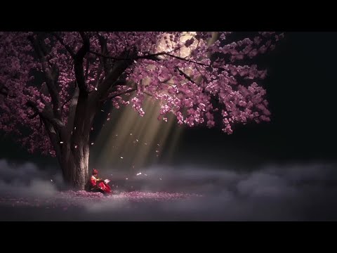 Ponderous Days | Copyright Free Music For Youtube Vidoes | No Copyright Music Free Download