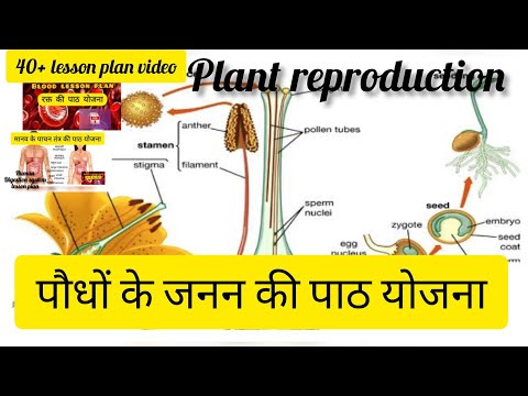पौधों के जनन की पाठ योजना !reproduction in plants lesson plan