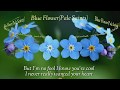 Blue Flower(Pale Saints - Lylics)