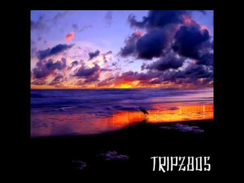 Hardwell Mitch Crown vs Gotye - CALL ME A SPACEMAN THAT I USED TO KNOW (DIMARO 2012 Festival Mashup)