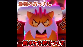 環境の破壊王ランドロス【ポケモンソードシールド】