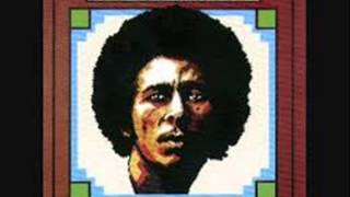 Bob Marley - Riding High