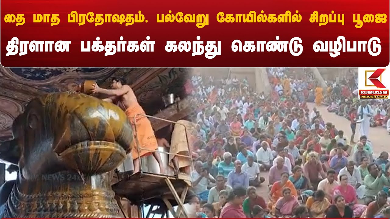 தை மாத பிரதோஷதம், பல்வேறு கோயில்களில் சிறப்பு பூஜை திரளான பக்தர்கள் வழிபாடு