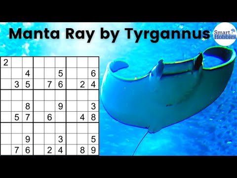 You’ll Never Believe What FANTASTIC Strategy Cracks This Puzzle! SHC 159