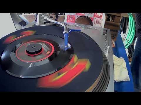 Yesterday's Gone ~ Chad & Jeremy ~ 1963 ~ Styrene