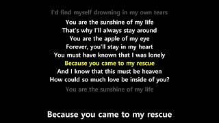 You Are The Sunshine Of My Life (Lyrics) - Stevie Wonder
