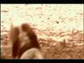 BEANIE SIGEL - GET DOWN 
