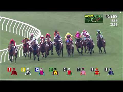 9/1/2022 (321) Super Kin - Alfred Chan