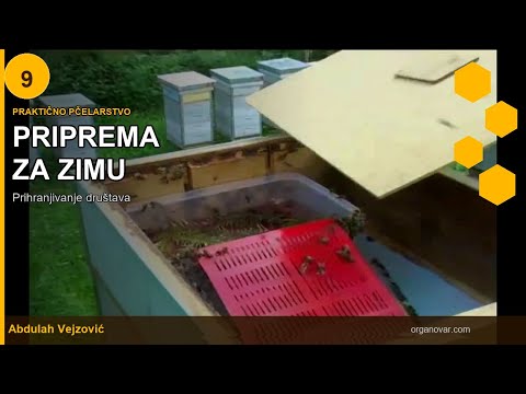 Zimski period