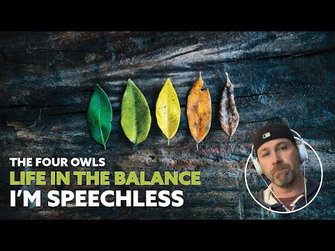 No one else out here doing this - First time hearing The Four Owls - Life in the Balance (Reaction)