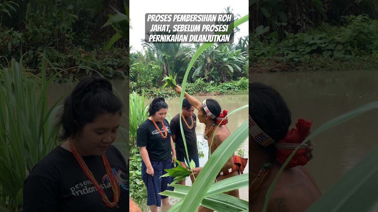 Inilah tradisi unik suku mentawai dalam acara pernikahan adat #mentawai #budaya #travel #suku #adat