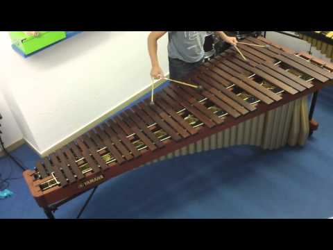 N.J. Zivkovic (Northwind) Marimba solo