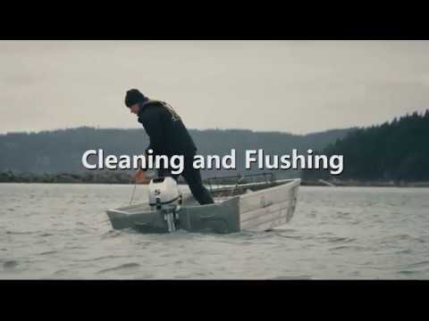 Cleaning and Flushing