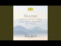 Brahms: Neue Liebeslieder Waltzer, Op. 65: 6. Rosen steckt mir an die Mutter (Live)