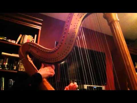 Promotional video thumbnail 1 for Michele Roger, Harpist