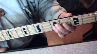 Laughter In The Rain (Bass Cover)