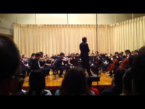Amherst Orchestra - Edelweiss
