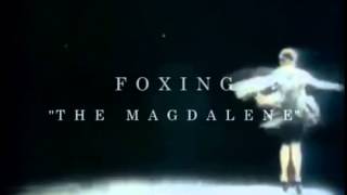 Foxing - 