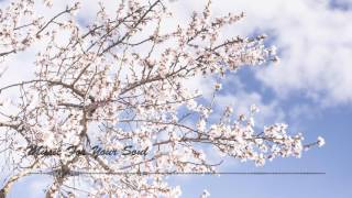 Jone Haru - Memory of Flowers