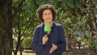 Miniatura do vídeo