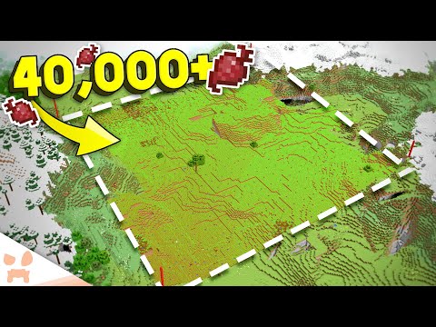 Building THE WORLDS BIGGEST BEETROOT FARM in Minecraft Survival! (#32) (40,000+ Beetroot)