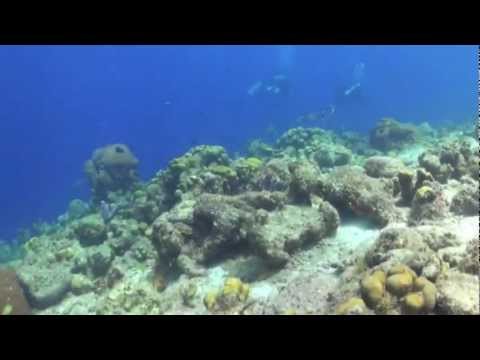 Christian Tschuertz - Bonaire - Netherlands Antilles - 2012 - ohne Sound