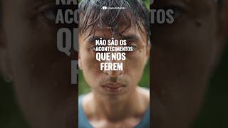 O segredo para não se abalar com nada (Epicteto) 🧠
