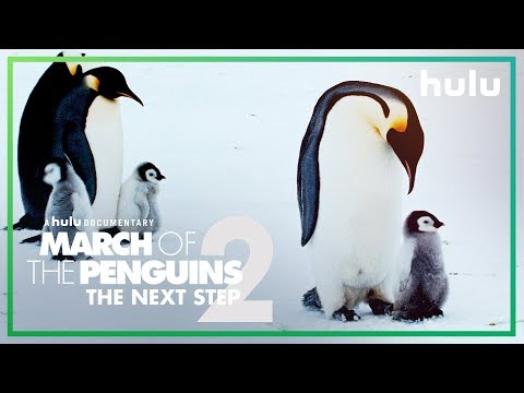 March Of The Penguins (2005) Trailer 2