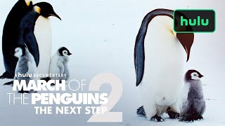 March of the Penguins 2 (Official Trailer) • Only on Hulu