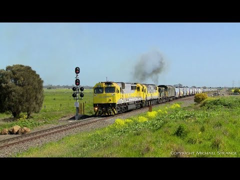 7762V QUBE Grain Train  With Smokey ALCO Diesel Locomotives (14/9/2019) - PoathTV Australian Railway