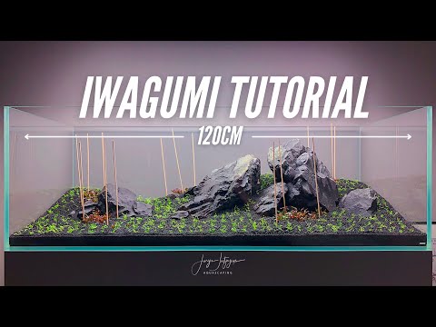 IWAGUMI Aquascape 120x50x40cm