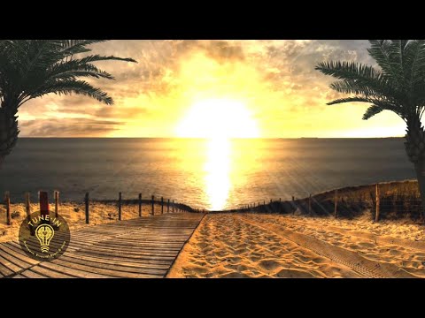 TIEFE HEILUNG | 880 Hz Heilende Rife Frequenz | Brainwave-Musik zur Regeneration des ganzen Körpers