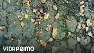 Papi Wilo - Recordando Que Ya Pronto Sale El Disco