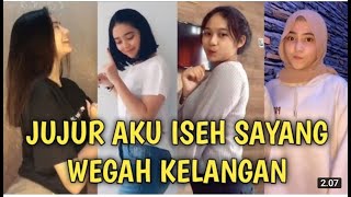Download lagu Viral! Jujur Aku Iseh Sayang Wegah Kelangan Goyang Tiktok mp3