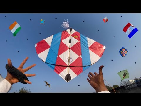 2 Tawa Kite Looting 😍| Kite looting new video 2026 😱| kite | patang 
