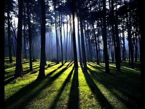 Phir Se Wahi Zindagi