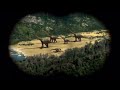 The Lost World [2001] - Brachiosaurus Screen Time