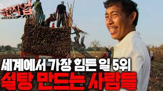 내 일이 힘들다고 느껴질때 이 영상을 봐 가장 가난하고 달콤한 극한의 노동자들｜극한직업